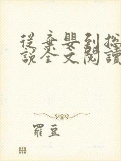 从弃婴到总裁小说全文阅读