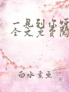 一见到你呀小说全文免费阅读