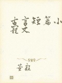 古言短篇小说甜宠文