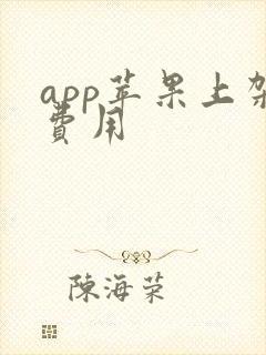 app苹果上架费用