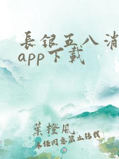长银五八消费贷app下载