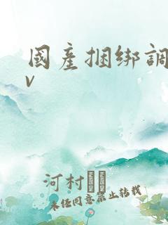 国产捆绑调教av