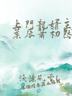 上门龙婿主人公叶辰萧初然