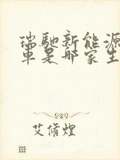 瑞驰新能源面包车是哪家生产厂家