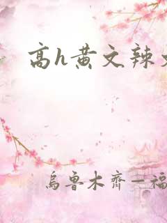 高h黄文辣文