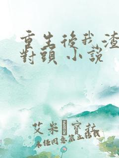 重生后我渣了死对头 小说