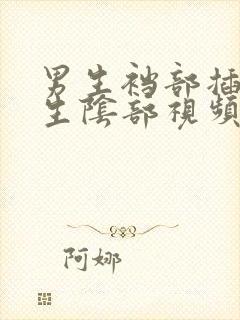 男生裆部插入女生阴部视频