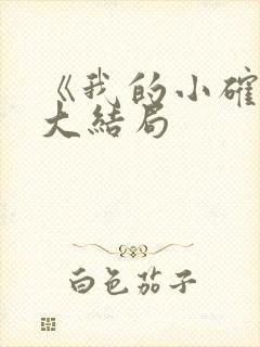 《我的小确幸》大结局