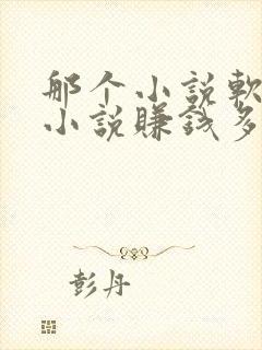 那个小说软件写小说赚钱多