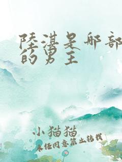 陆湛是哪部小说的男主