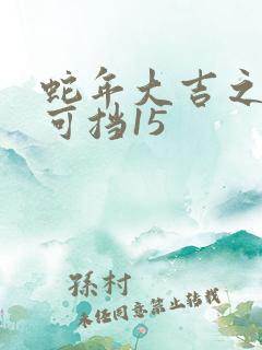 蛇年大吉之婚不可挡15