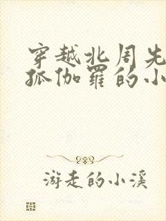 穿越北周先娶独孤伽罗的小说