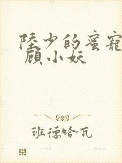 陆少的蜜宠甜妻 顾小妖