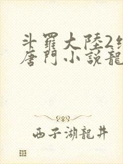 斗罗大陆2绝世唐门小说龙王传说网