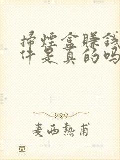 扫烟盒赚钱的软件是真的吗?