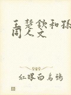 王楚钦和孙颖莎同人文