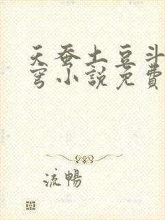 天蚕土豆斗破苍穹小说免费阅读