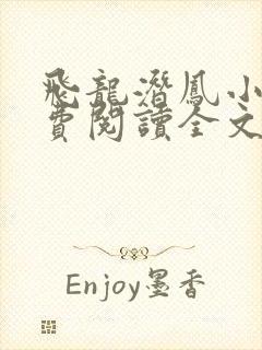 飞龙潜凤小说免费阅读全文最新章节