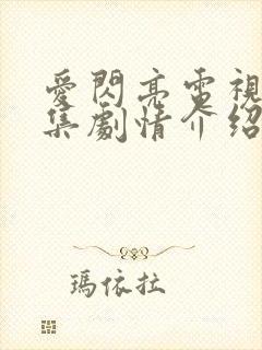 爱闪亮电视剧分集剧情介绍