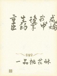 重生后我成了权臣的掌中娇看