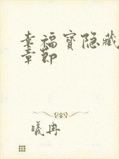 幸福宝隐藏小说章节