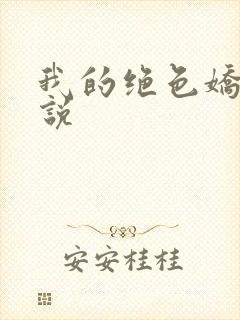 我的绝色娇妻小说