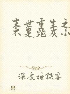 末世重生之我可不是炮灰小说