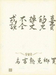 戎不掉的喜欢小说全文免费阅读