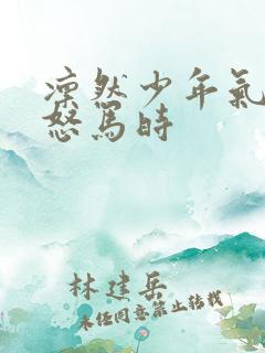 凛然少年气鲜衣怒马时