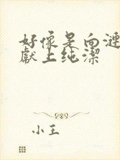 好像是向涟苍士献上纯洁