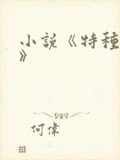 小说《特种兵王》