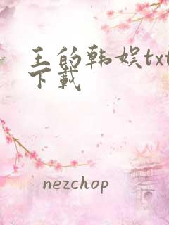 王的韩娱txt下载