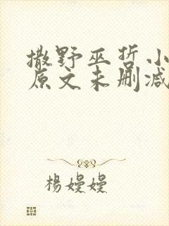 撒野巫哲小说 原文未删减