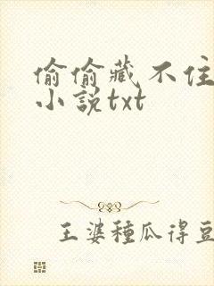 偷偷藏不住竹已小说txt