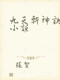 九天斩神诀林辰小说