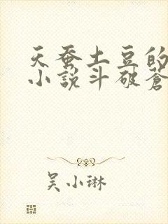 天蚕土豆的全部小说斗破苍穹