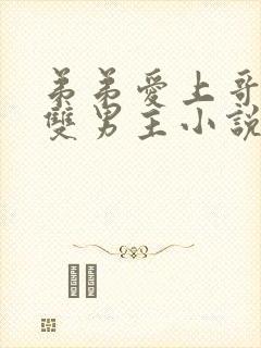 弟弟爱上哥哥的双男主小说