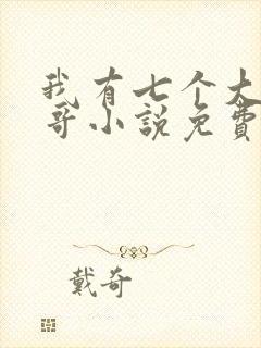 我有七个大佬哥哥小说免费阅读txt