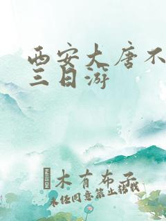 西安大唐不夜城三日游