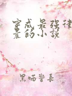 穿成最强律师顾晨的小说