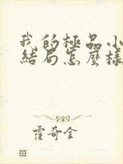 我的极品小姨大结局怎么样