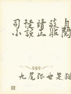 司徒靖苏月汐的小说正版阅读