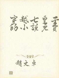 穿越七皇子赵开的小说免费阅读