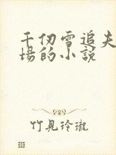 千仞雪追夫火葬场的小说