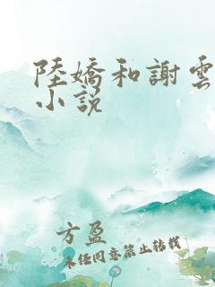 陆娇和谢云瑾的小说