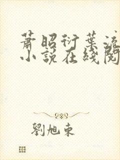 萧昭衍叶流锦的小说在线阅读