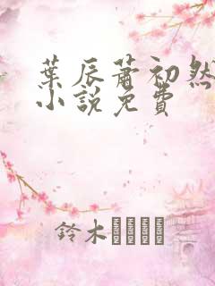 叶辰萧初然最新小说免费