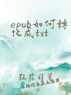 epub如何转化成txt