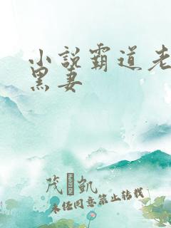 小说霸道老公腹黑妻