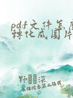 pdf文件怎么转化成图片